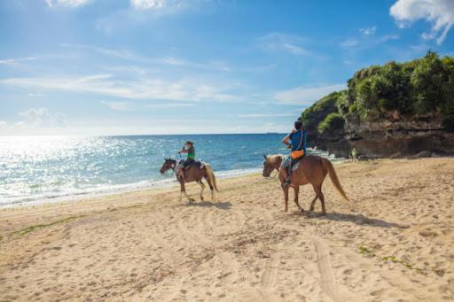 Yu -seven And Resorts-